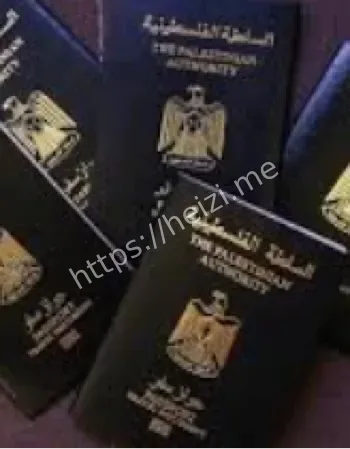 美国签证限制